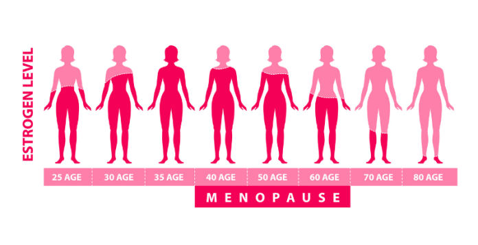 ciclo de la menopausa