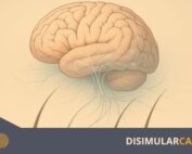 fármacos psiquiátricos caída del cabello