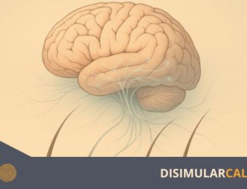 Medicamentos psiquiátricos y cabello: cómo abordar el problema con su tricólogo.